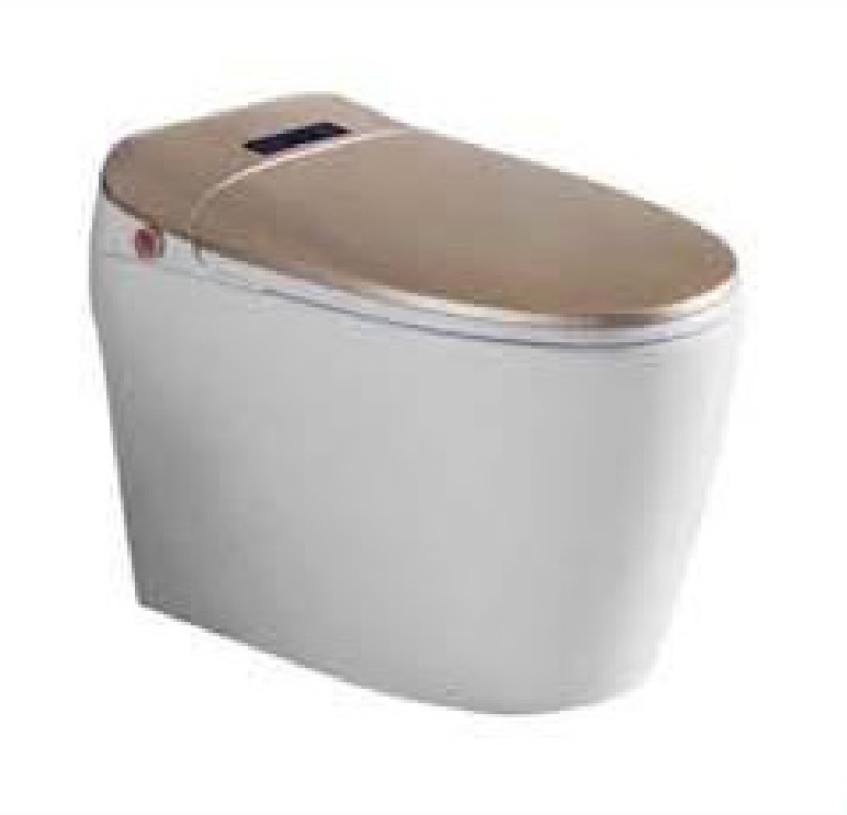 Intelligent Toilet