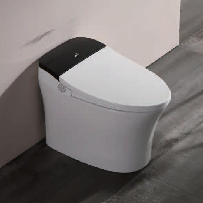 Modern Toilet