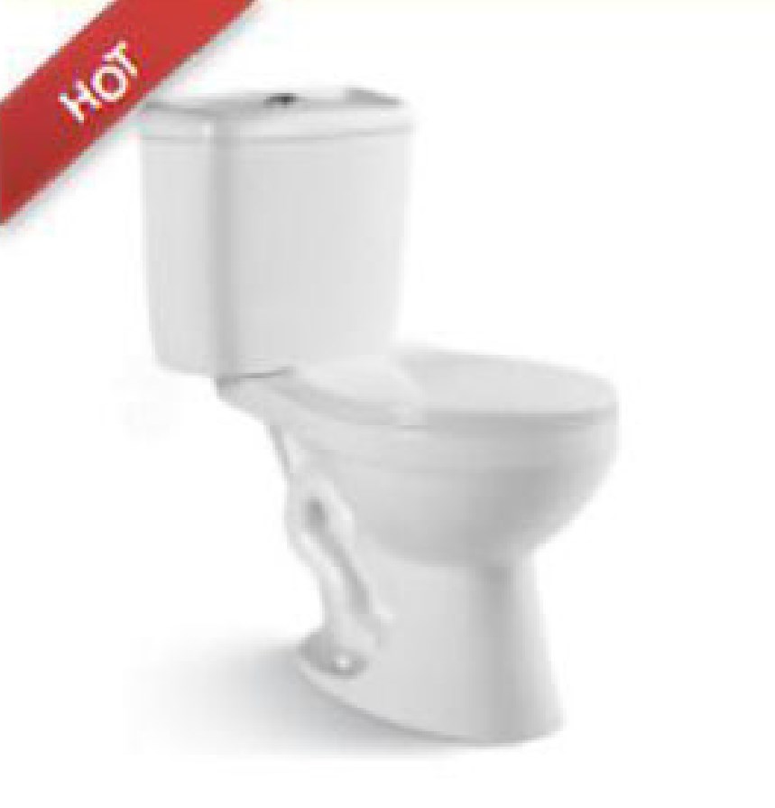 Siphon Split Toilet
