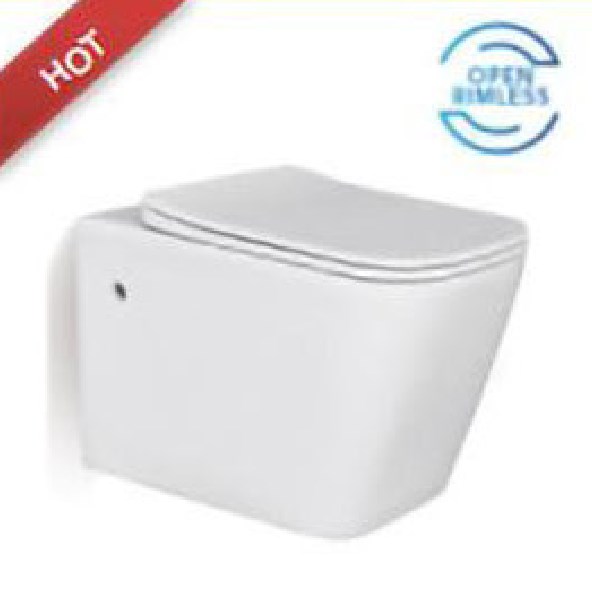 Wall Mounted Toilet